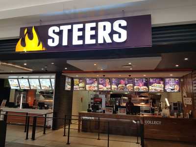 Steers