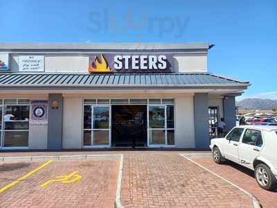 Steers