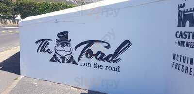 Toad In Te Road