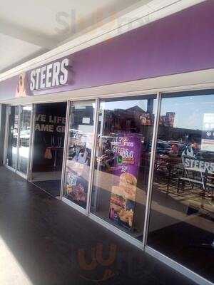 Steers