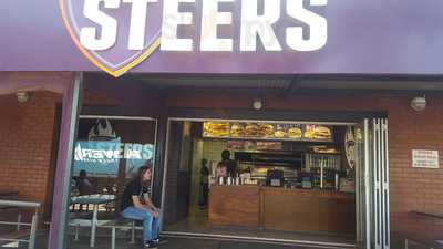 Steers