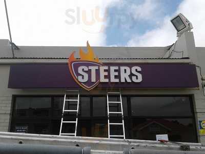 Steers