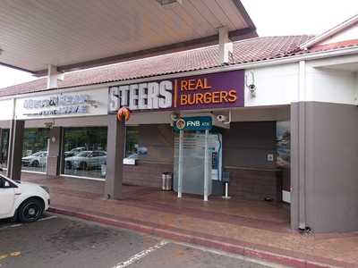 Steers