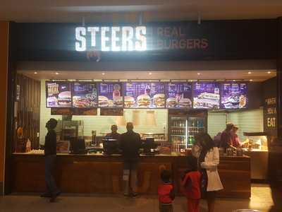 Steers