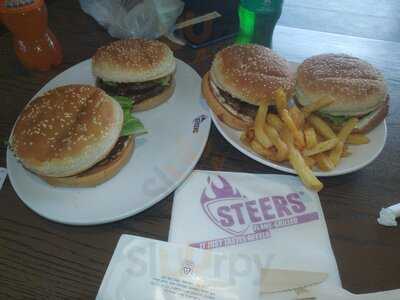 Steers