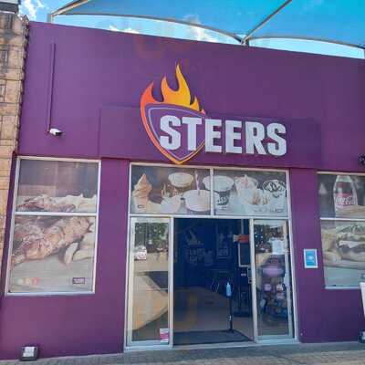 Steers