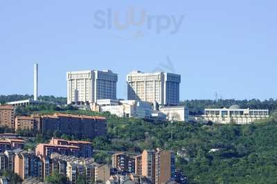 Ospedale Cattinara, Trieste