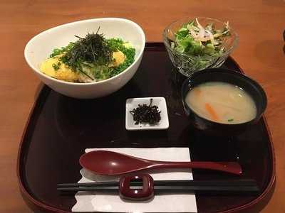 のらの