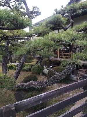 カフェリエール 雲山萬化荘, 和歌山市