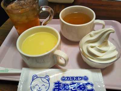 カラオケ本舗まねきねこ高崎高関店