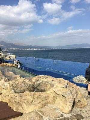 大分マリーンパレス水族館 うみたまご フードコートfanfare