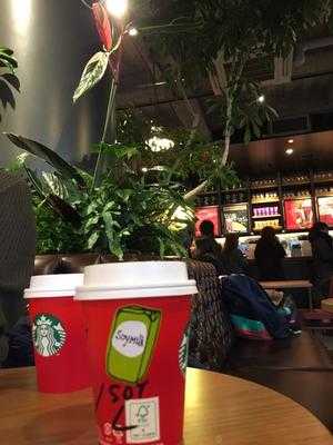 スターバックスコーヒー 米子 Tsutaya角盤町店