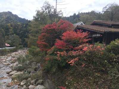 カフェテラス北山