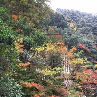 明治の森 箕面 音羽山荘