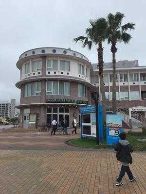 スターバックスコーヒー 沖縄国体道路店