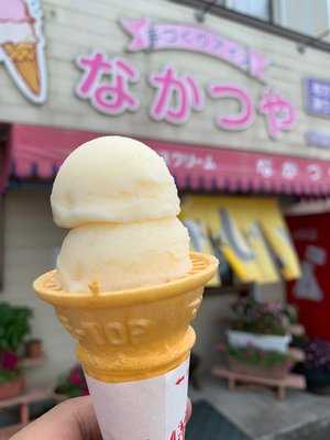 なかつや 飫肥駅前店