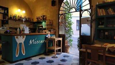 Il Moscardo, Alessandria