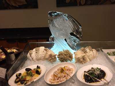 セイルフィッシュカフェ