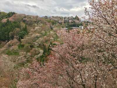 如意輪寺 お茶処