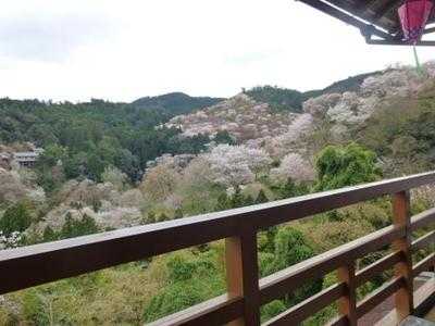 朝日館