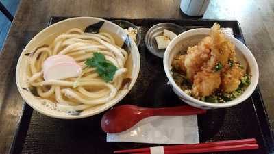 うつ木