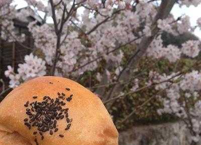 あいゆうわいえ