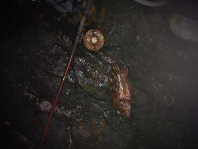 オーシャンヒルズ menu