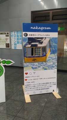 菩提樹 menu
