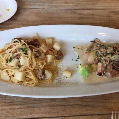 カーブドッチとやの