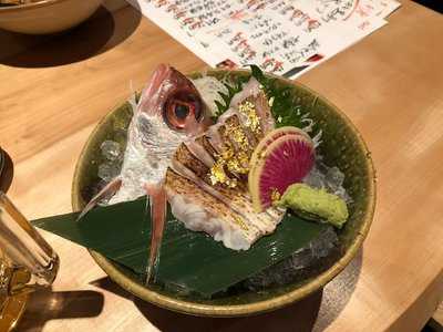 活きな魚 地酒 座吟