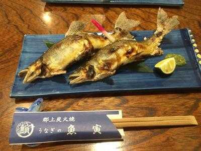 郡上炭火焼うなぎの魚寅