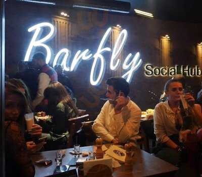 Barfly Social Hub