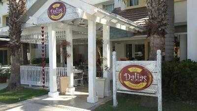 Dalia's Cafe & Bakery