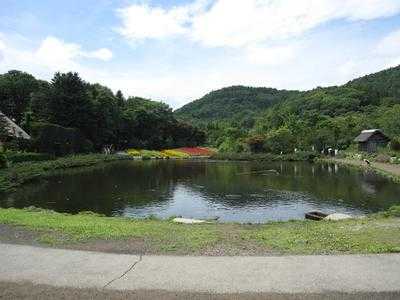 榛の木林 レストラン menu