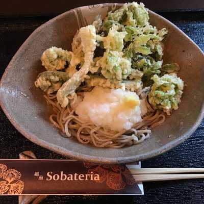越前sobateria