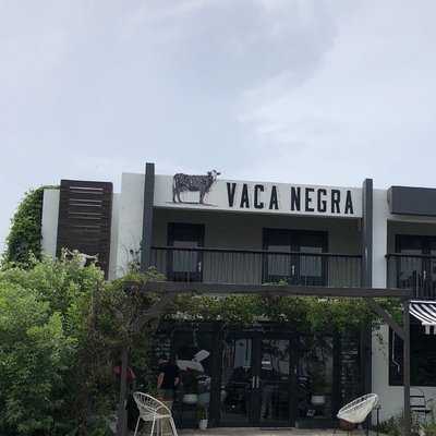 Vaca Negra