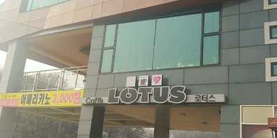 로터스 menu