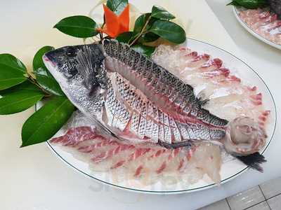 바오로회센타