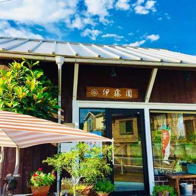 伊藤園, 岡崎市