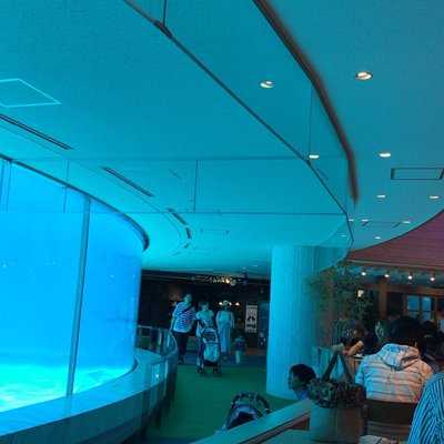 マリンワールドレストラン