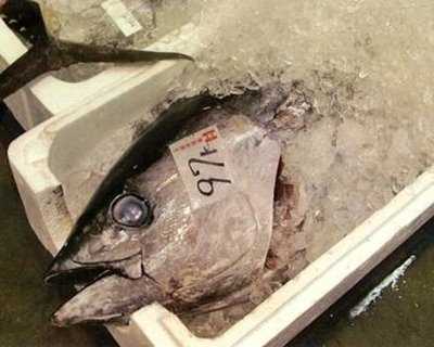 漁師ダイニング日本海ばん屋 魚屋直営店