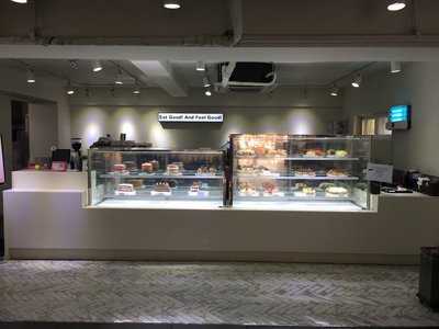 디토르테공평점