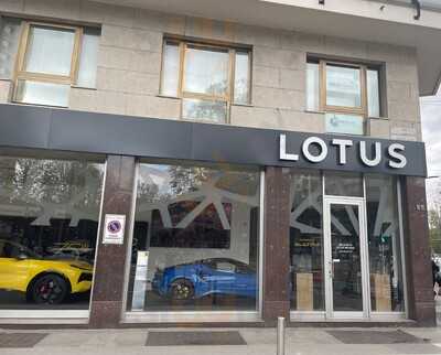 lotus, Milano