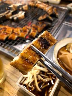 풍천양만 민물장어