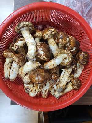 장수유황오리토종닭