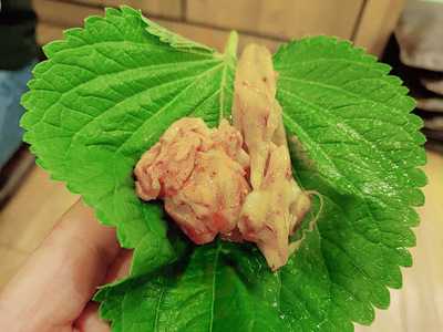 닭이봉춘천닭갈비