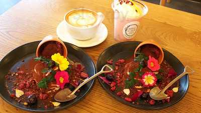 Meg Cafe511
