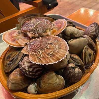 전남회조개구이