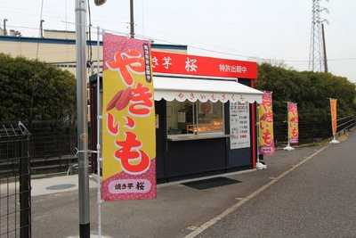 焼き芋 桜