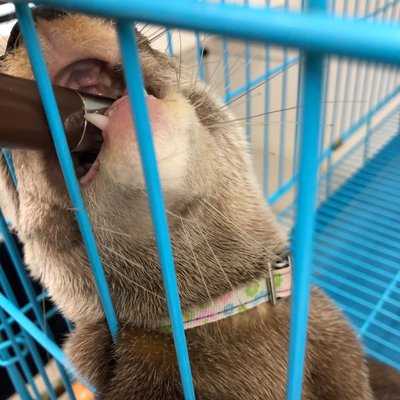 コツメイト 福岡大名店